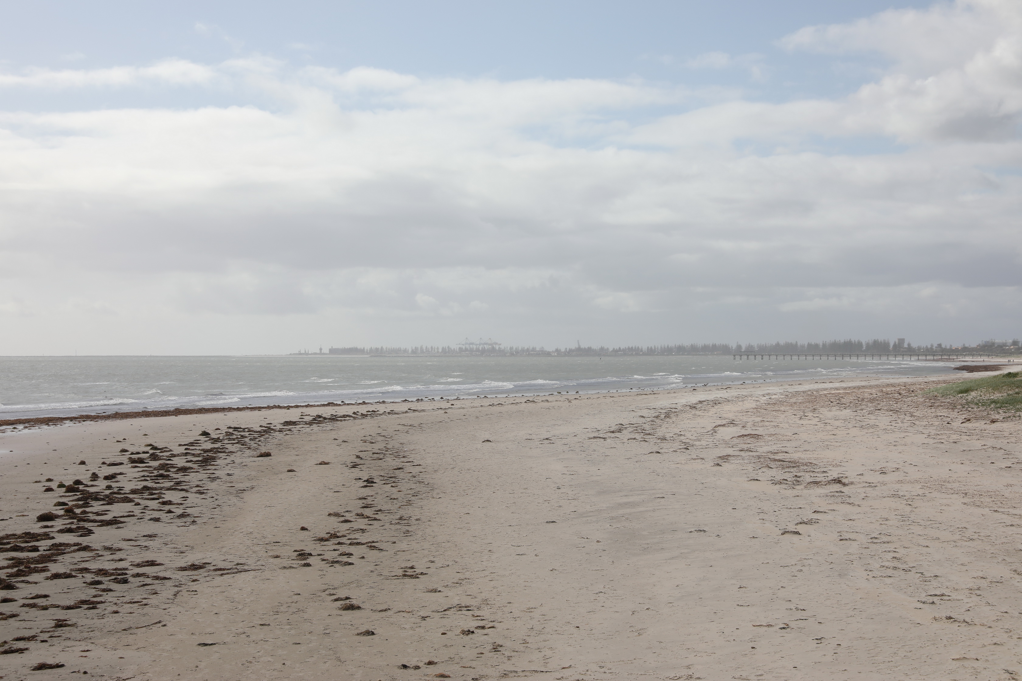 2019 08 11 14 25 08 Canon EOS 5D Mark IV 0004